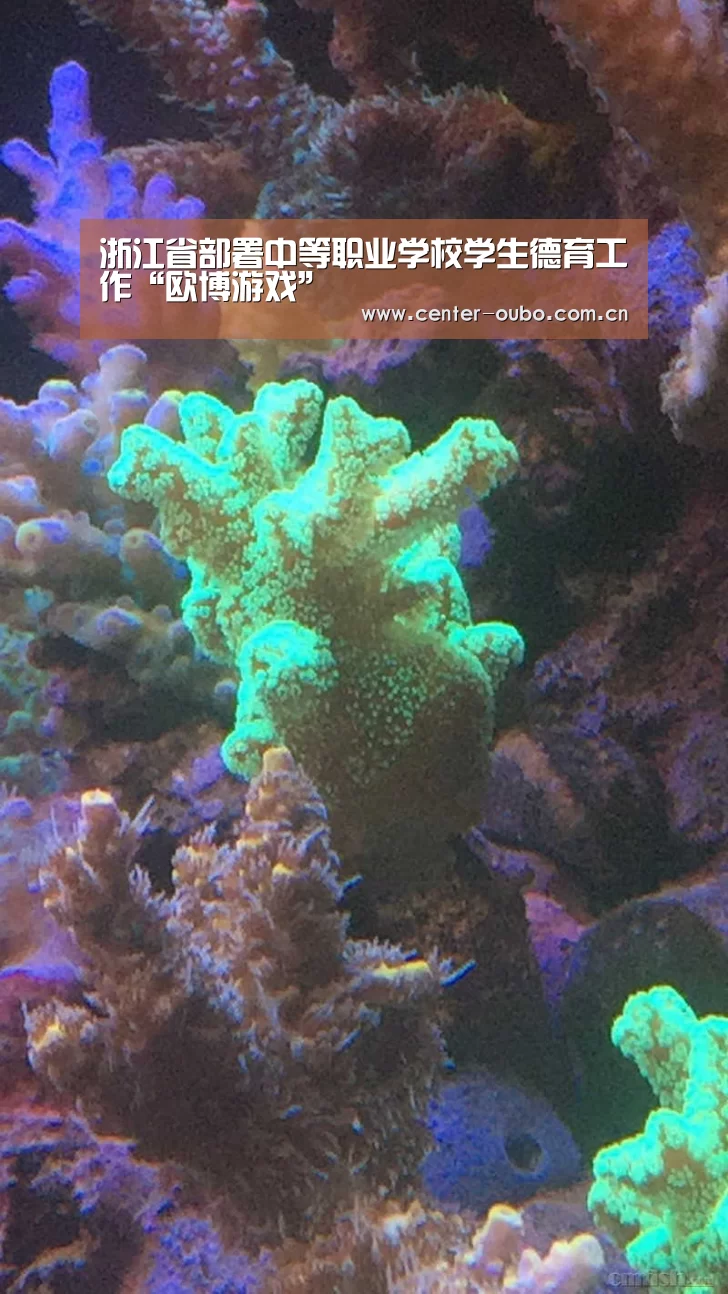 浙江省部署中等职业学校学生德育工作“欧博游戏”(图2) 欧博游戏