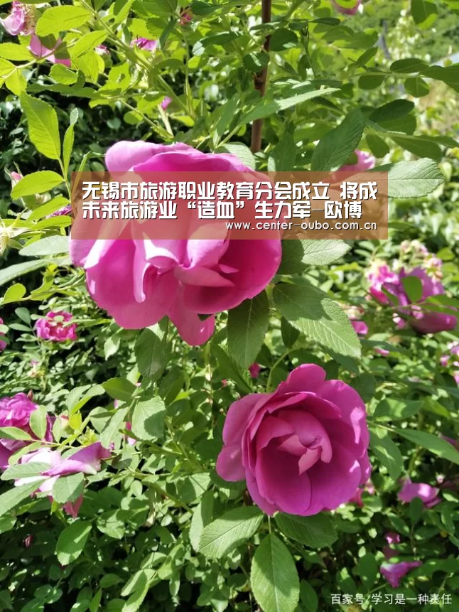 无锡市旅游职业教育分会成立 将成未来旅游业“造血”生力军-欧博游戏(图1) 欧博游戏