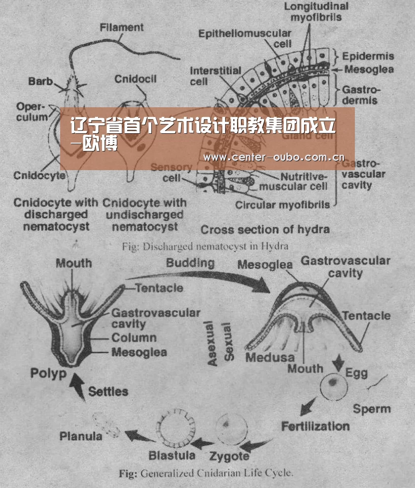 欧博登入