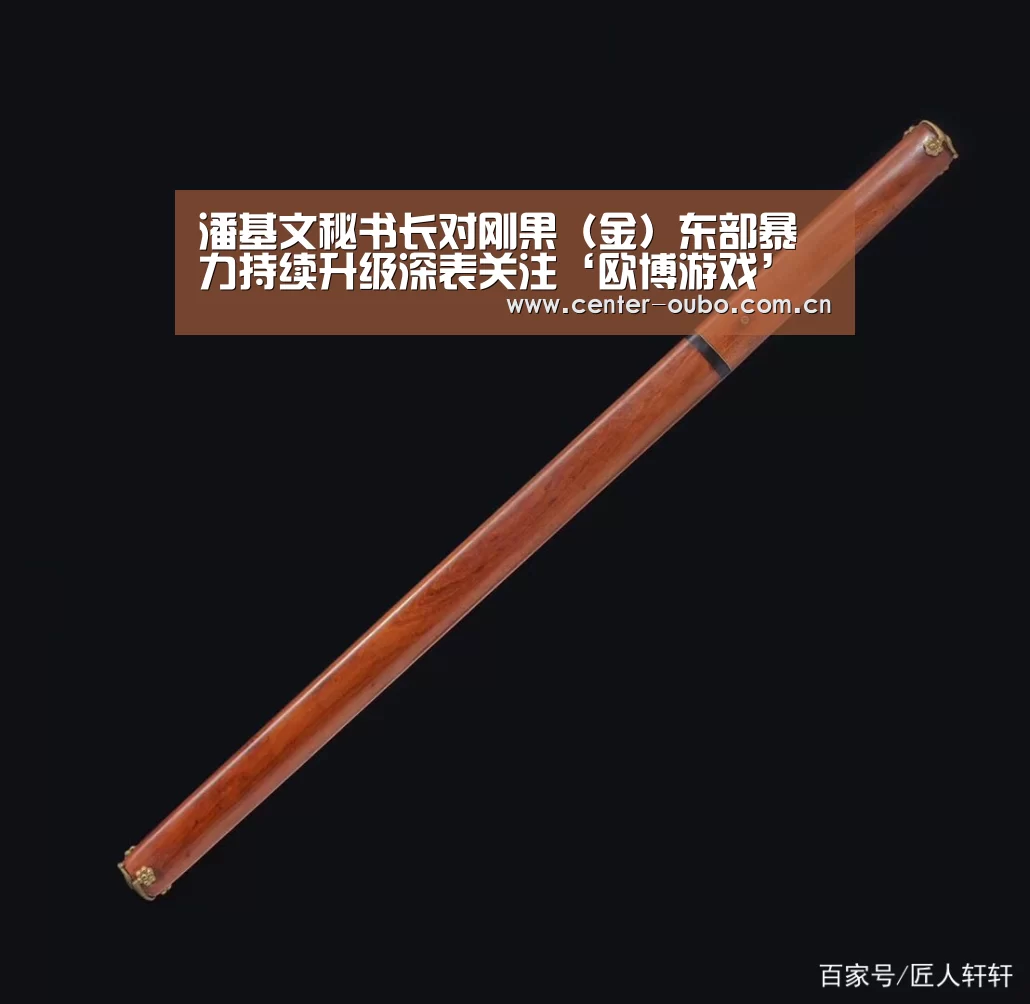 潘基文秘书长对刚果(金)东部暴力持续升级深表关注‘欧博游戏’(图2) 欧博游戏